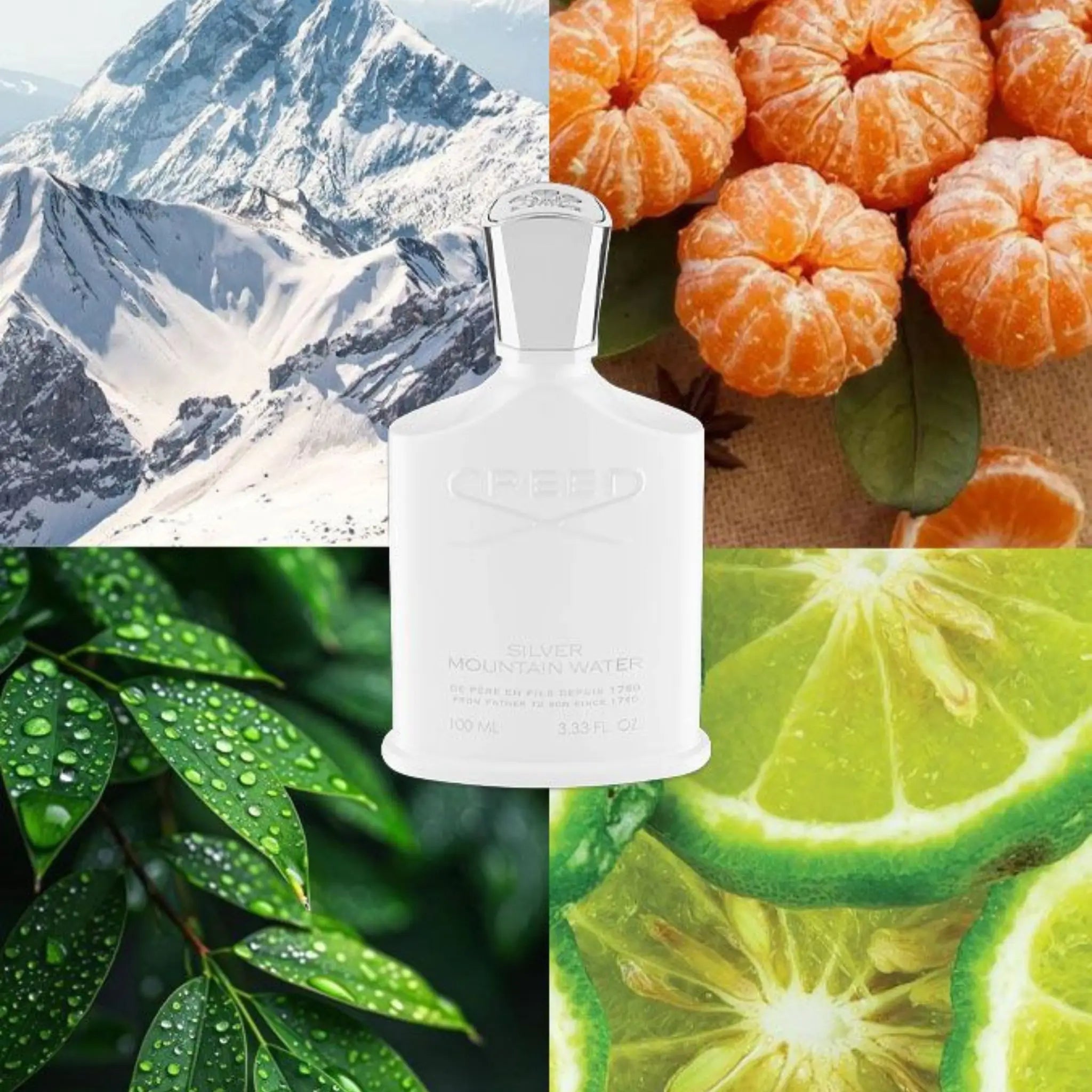 Creed Silver Mountain Water (Inspirado 1.1)