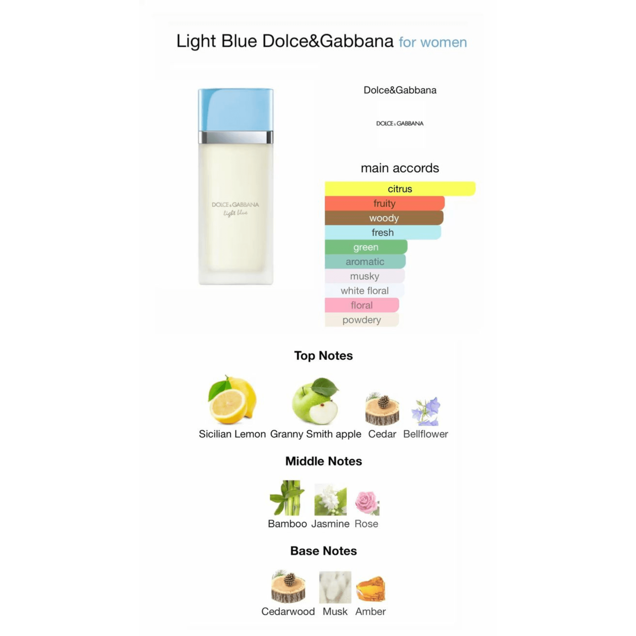 Dolce Gabana Light Blue